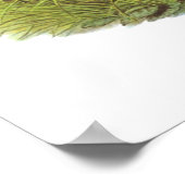 Gould - Corncrake - Crex crex Poster (Hoek)