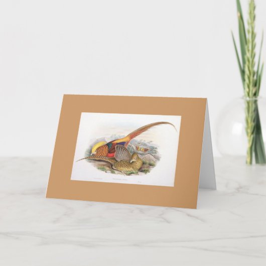 Gould - de Gouden Kaart van de Fazant (Voorkant)