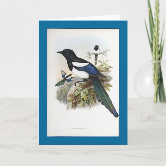 Gould - Ekster Bootan Kaart (Voorkant)