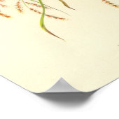 Gould Gouldian Finch Portfolio Poster (Hoek)