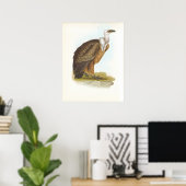 Gould - Griffon Vulture - Gyps fulvus Poster (Thuiskantoor)