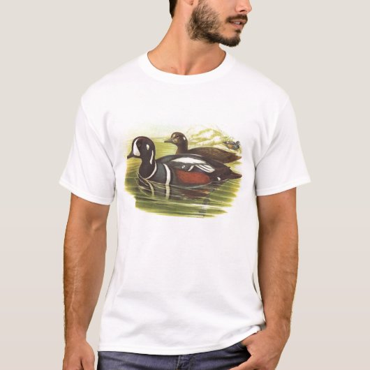 Gould - Harlequin Duck - Histrionicus histrionicus T-shirt (Voorkant)