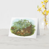 Gould - Houtsnip - rusticola Scolopax Kaart (Gele Bloem)