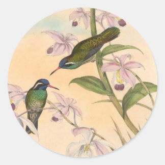 Gould Hummingbird and Orchids Ronde Sticker