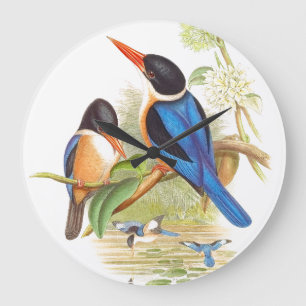 Gould Kingfisher Birds Wall klok
