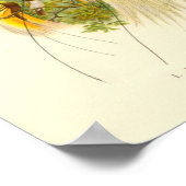 Gould - Lesser Bird of Paradise Portfolio Poster (Hoek)