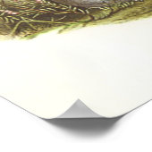 Gould - Manx Shearwater - Procellaria puffinus Poster (Hoek)