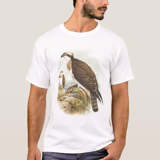 Gould - Osprey - Pandion haliaetus T-shirt (Voorkant)