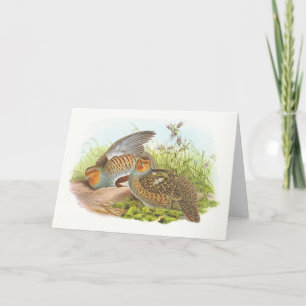 Gould - Patrijs - Perdix perdix Kaart