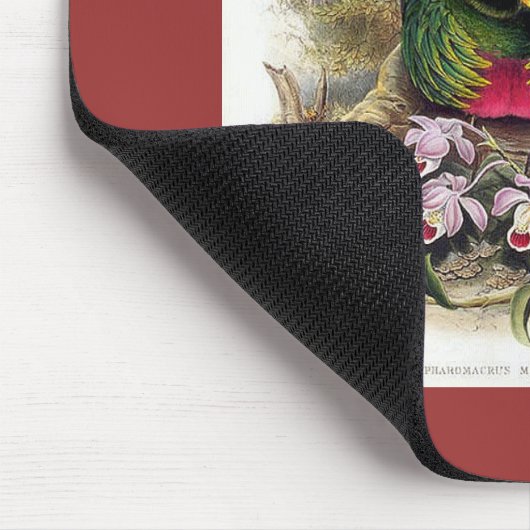 Gould - Quetzal Muismat (Hoek)