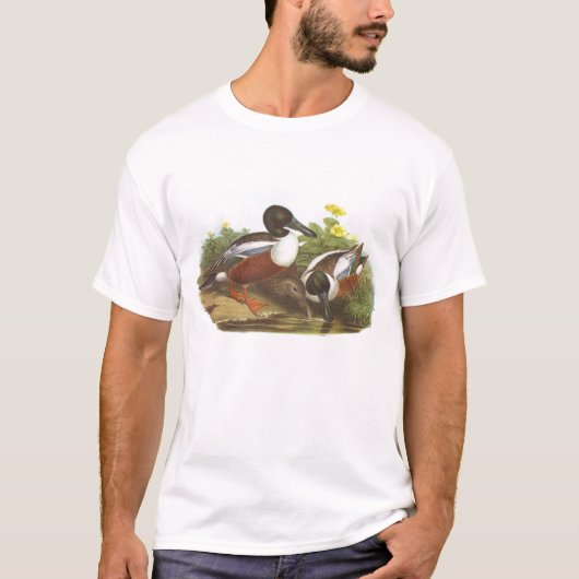 Gould - Shoveler - Anas clypeata T-shirt (Voorkant)