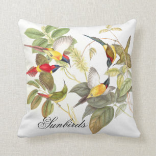Gould Sunbird Birds Animals Wildlife Sierkussen