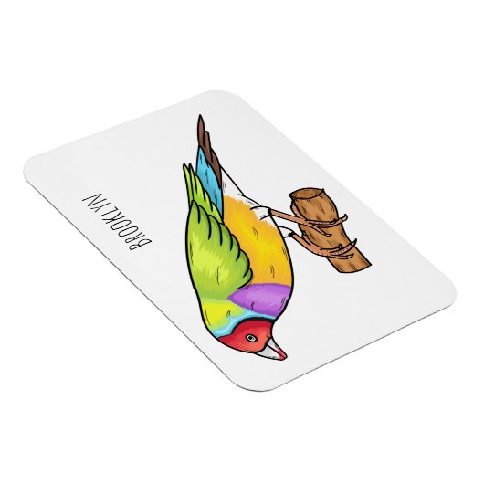 Gouldiaanse cartoon magneet (Rechterzijde)