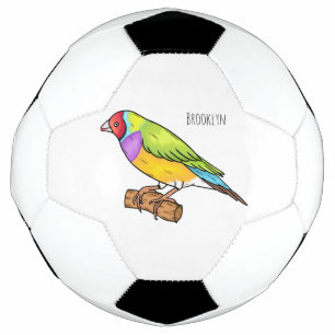 Gouldiaanse vink vogel cartoonillustratie voetbal