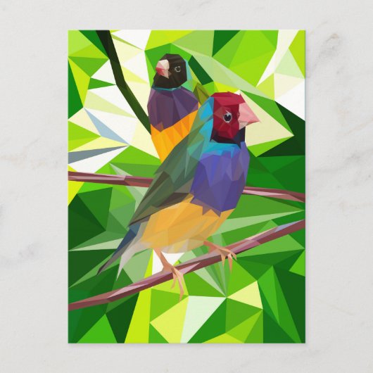 Gouldian Finch Duo Briefkaart (Voorkant)