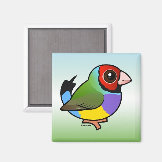 Gouldian Finch Magneet (Voorkant / Achterkant)