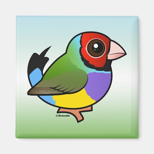 Gouldian Finch Magneet (Voorkant)