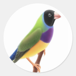 Gouldian Finch met zwart gezicht Ronde Sticker