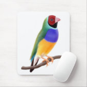 Gouldian Finch Mousepad Muismat (Met muis)
