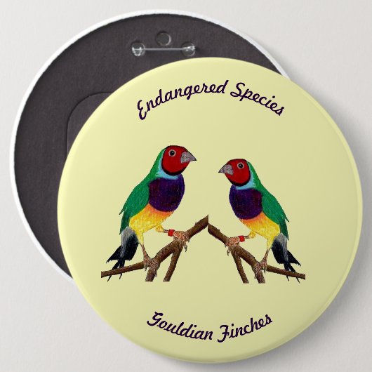 ~ Gouldian Finch ~ Original Art ~ Button (Voorkant /achterkant)