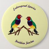 ~ Gouldian Finch ~ Original Art ~ Button (Voorkant)
