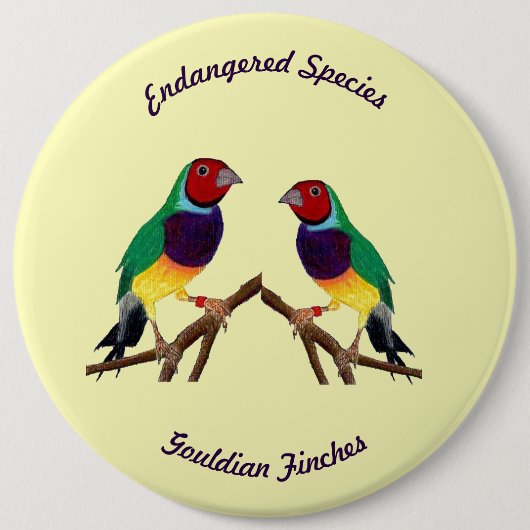 ~ Gouldian Finch ~ Original Art ~ Button (Voorkant)