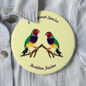 ~ Gouldian Finch ~ Original Art ~ Button (In situ)