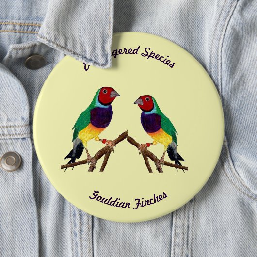 ~ Gouldian Finch ~ Original Art ~ Button (In situ)