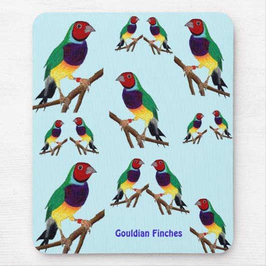 ~ Gouldian Finch ~ Original Art ~ Muismat (Voorkant)