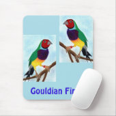~ Gouldian Finch ~ Original Art ~ Muismat (Met muis)