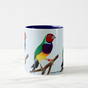 ~ Gouldian Finch ~ Originele Kunst ~ Tweekleurige Koffiemok