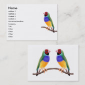 Gouldian Finch Visitekaartjes (Voorkant / Achterkant)