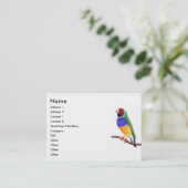 Gouldian Finch Visitekaartjes (Staand voorkant)