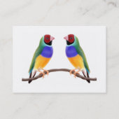 Gouldian Finch Visitekaartjes (Achterkant)