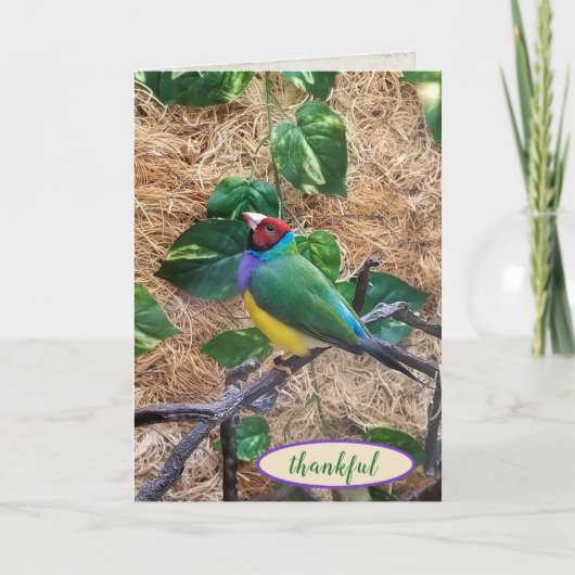 Gouldian Finch voor de tak van dank Kaart (Voorkant)