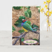 Gouldian Finch voor de tak van dank Kaart (Gele Bloem)