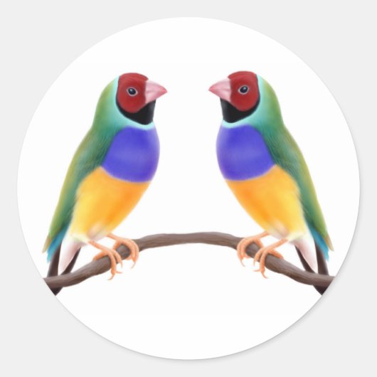Gouldian Finch Vrienden Ronde Sticker (Voorkant)