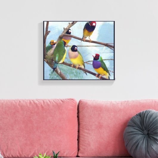 Gouldian Finches Canvas Afdruk (Insitu (Woonkamer))
