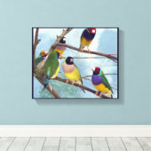 Gouldian Finches Canvas Afdruk (Insitu (Houten vloer))