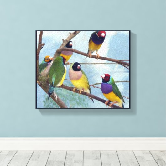 Gouldian Finches Canvas Afdruk (Insitu (Houten vloer))
