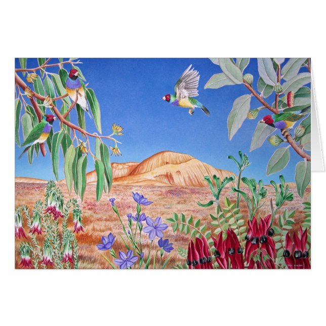 Gouldian Finches, Outback, Australië (Voorkant Horizontaal)