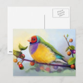 Gouldian zoekt realistisch schilderij briefkaart (Voorkant / Achterkant)