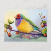 Gouldian zoekt realistisch schilderij briefkaart (Voorkant)