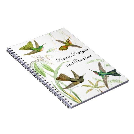 Goulds Hummingbird Notebook Notitieboek (Rechterzijde)
