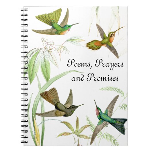 Goulds Hummingbird Notebook Notitieboek (Voorkant)