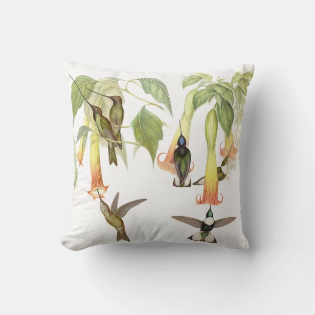 Goulds Hummingbird Pillow Kussen (Voorkant)