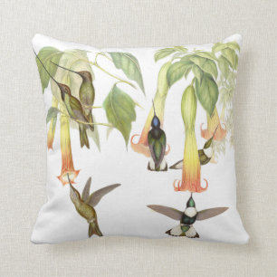 Goulds Hummingbird Pillow Kussen