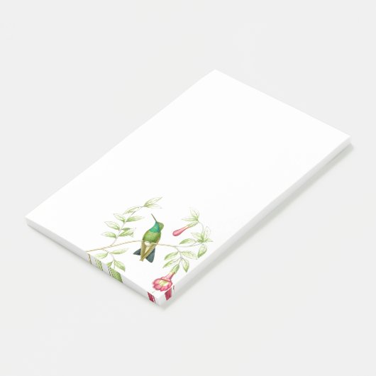 Goulds Hummingbird Post it Notes (Schuin)