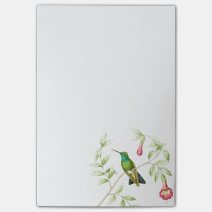 Goulds Hummingbird Post it Notes