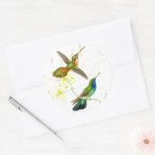 Goulds Hummingbird Stickers (Envelop)